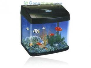 供應生態(tài)魚缸與水族箱配件及技術轉讓一站式解決方案