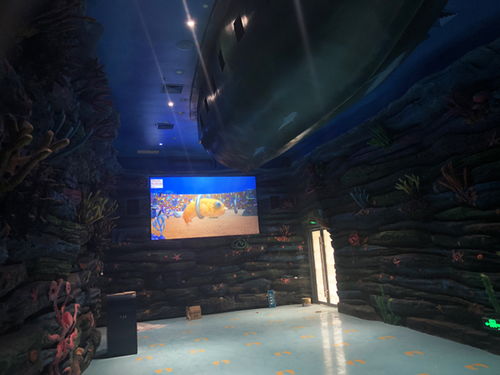 pjtime.com 行業(yè)新聞 贏康